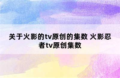 关于火影的tv原创的集数 火影忍者tv原创集数